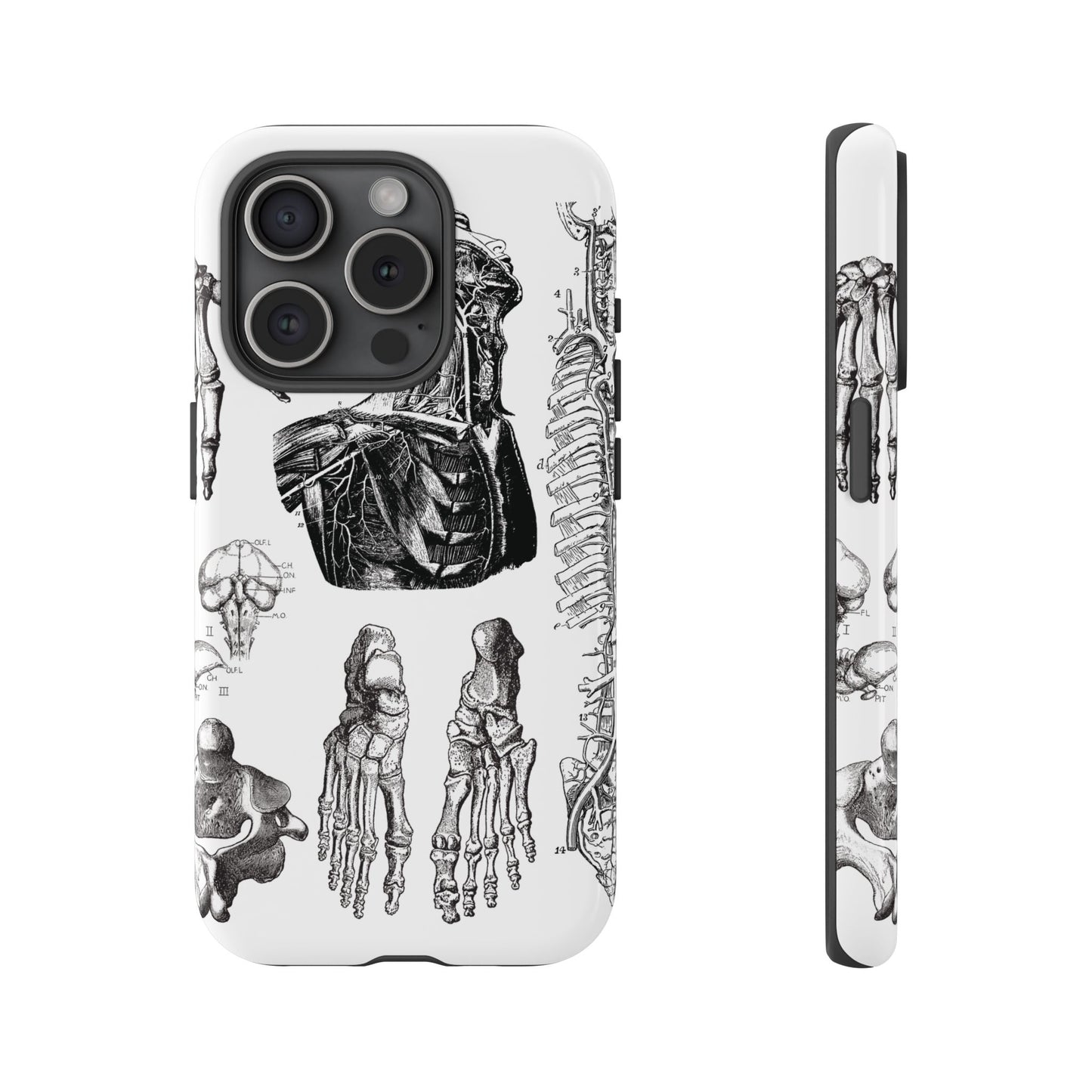 Vintage Anatomy Phone Case - Medical Illustration Design - Custom iPhone, Samsung & Pixel Cover - Science Gift - Doctor Aesthetic - Anatomy
