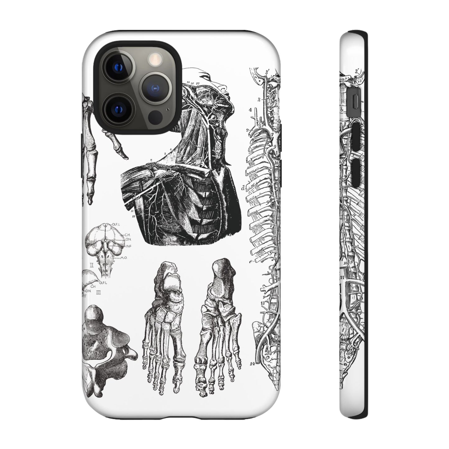 Vintage Anatomy Phone Case - Medical Illustration Design - Custom iPhone, Samsung & Pixel Cover - Science Gift - Doctor Aesthetic - Anatomy