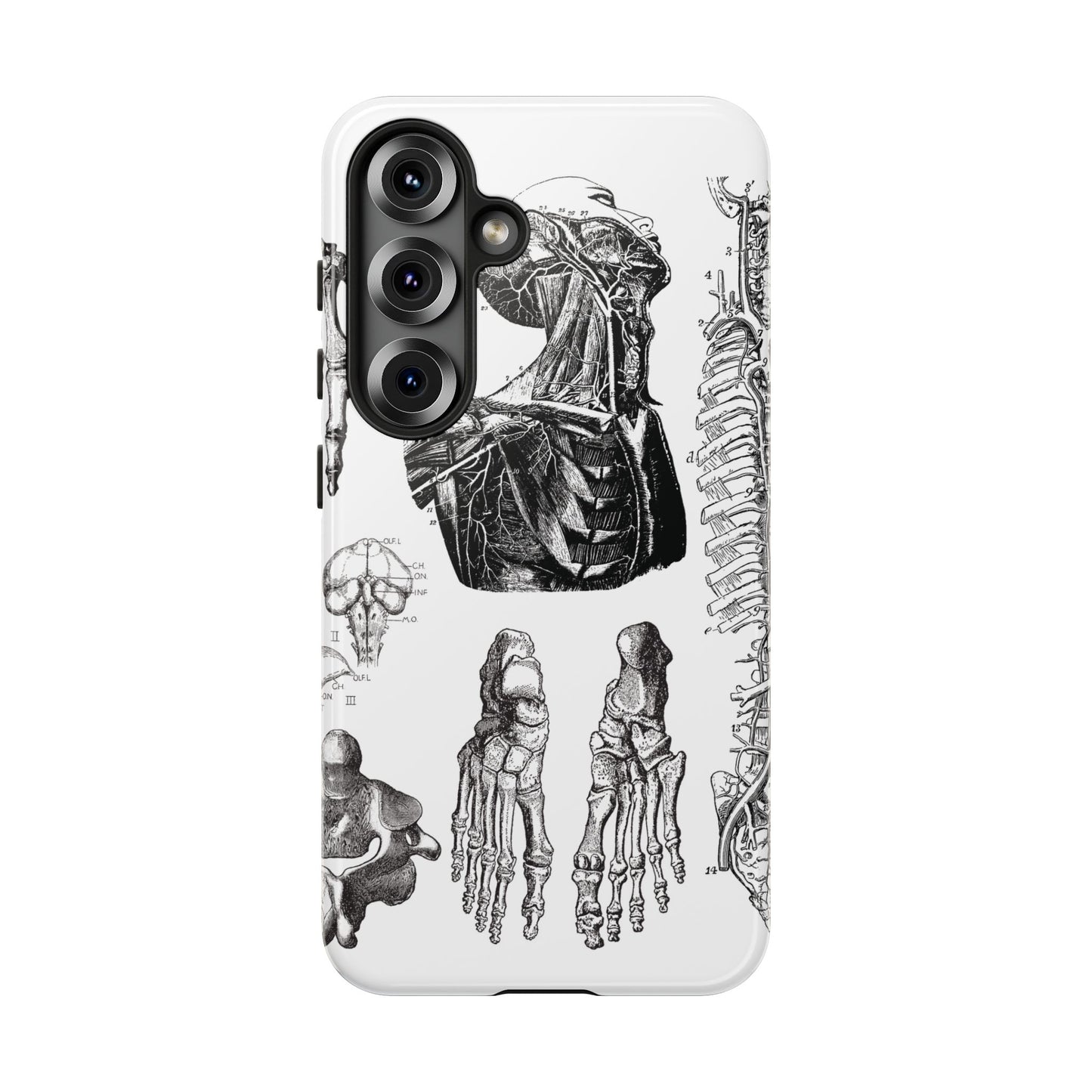 Vintage Anatomy Phone Case - Medical Illustration Design - Custom iPhone, Samsung & Pixel Cover - Science Gift - Doctor Aesthetic - Anatomy