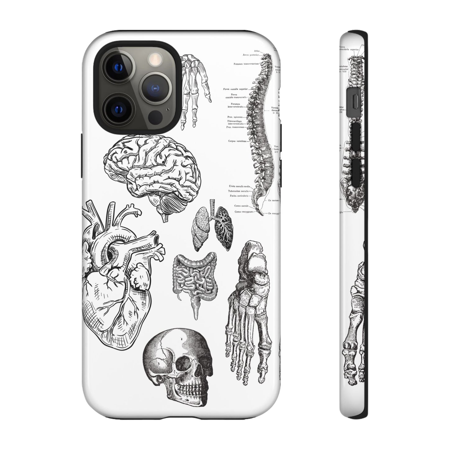 Anatomical Phone Case - Vintage Medical Illustration Case - Science Gift - Custom Medical Phone Cover - Custom Phone Cover - Medical Student