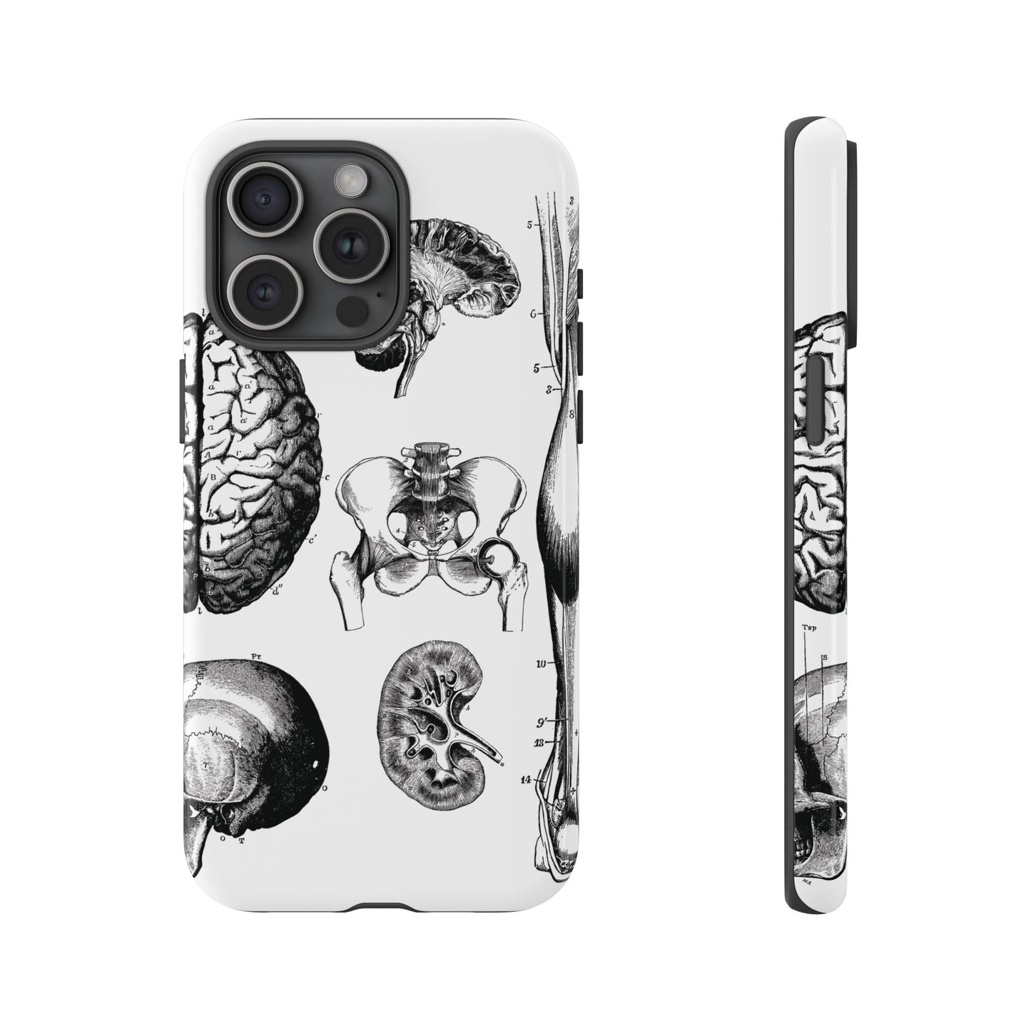 Vintage Anatomy Phone Case - Medical Sketch Design - Custom iPhone, Samsung & Pixel Cover - Science Gift - Doctor Aesthetic - Anatomy case