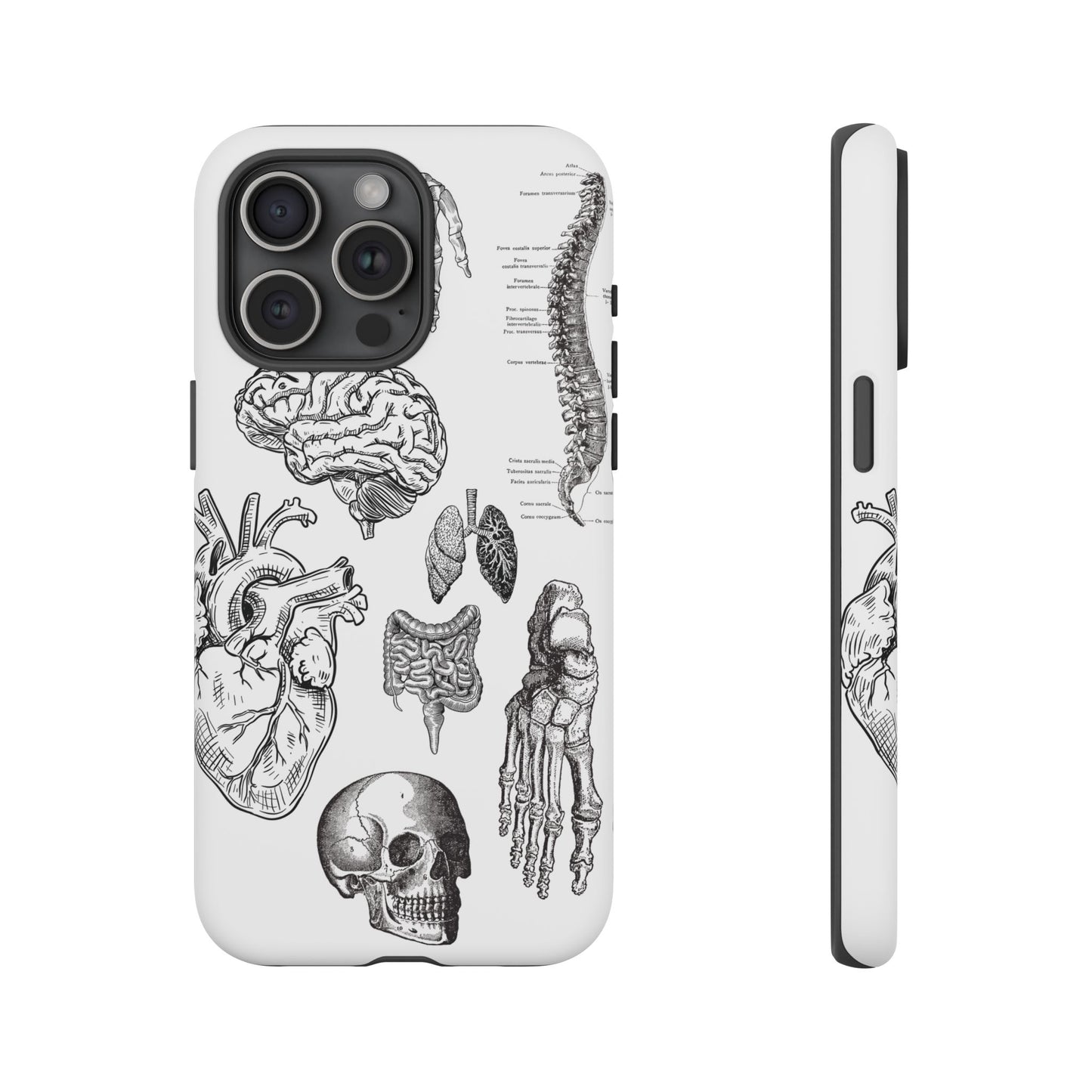 Anatomical Phone Case - Vintage Medical Illustration Case - Science Gift - Custom Medical Phone Cover - Custom Phone Cover - Medical Student