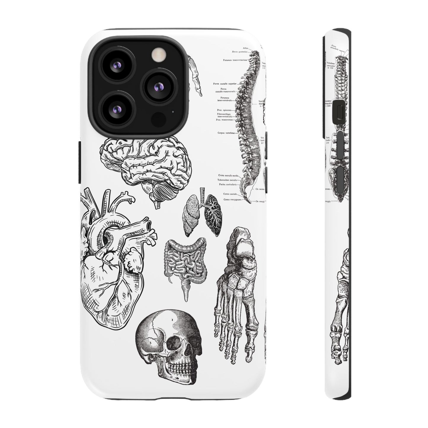 Anatomical Phone Case - Vintage Medical Illustration Case - Science Gift - Custom Medical Phone Cover - Custom Phone Cover - Medical Student