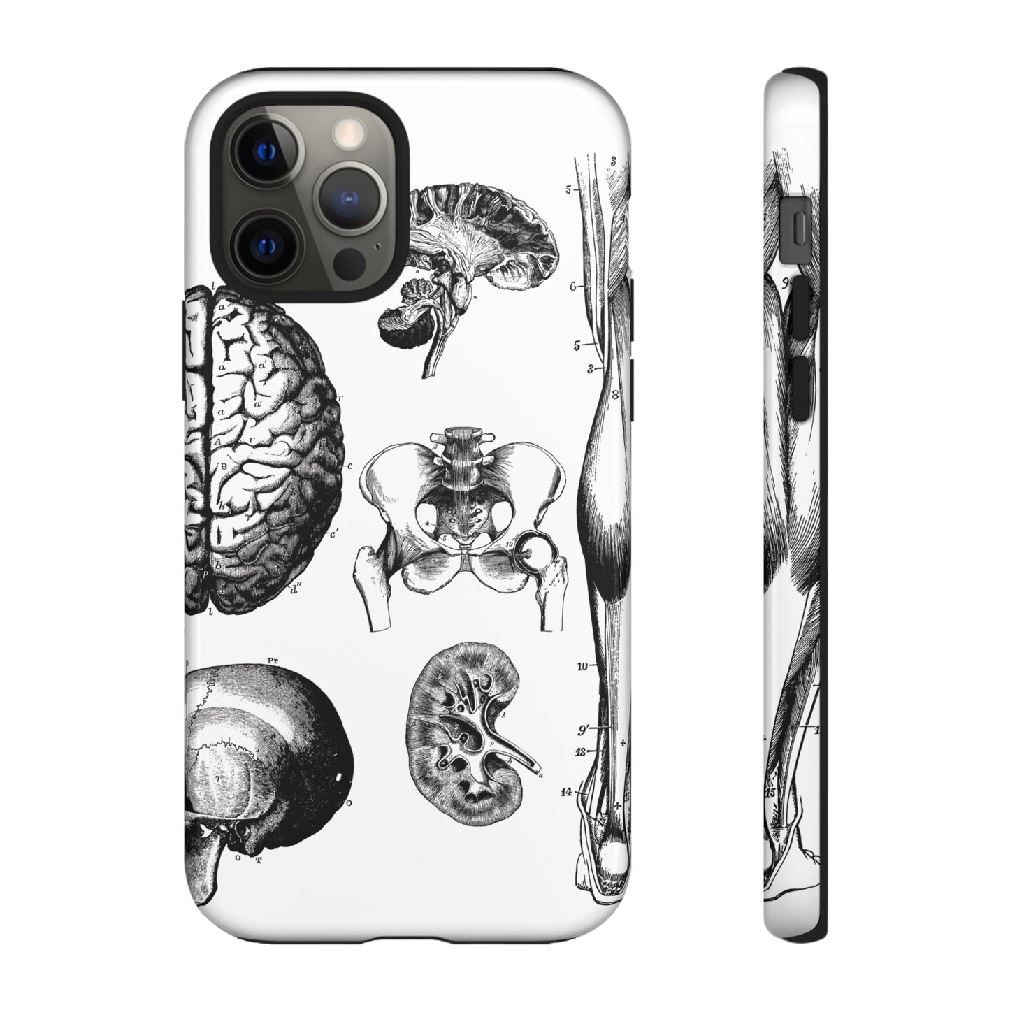Vintage Anatomy Phone Case - Medical Sketch Design - Custom iPhone, Samsung & Pixel Cover - Science Gift - Doctor Aesthetic - Anatomy case