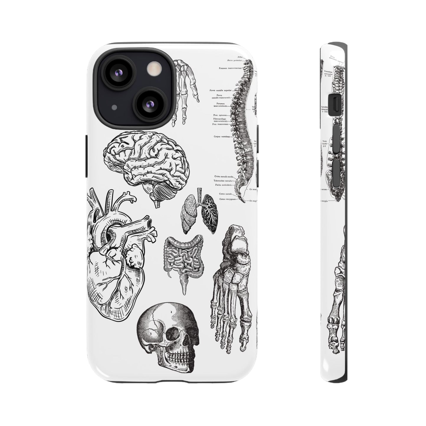 Anatomical Phone Case - Vintage Medical Illustration Case - Science Gift - Custom Medical Phone Cover - Custom Phone Cover - Medical Student