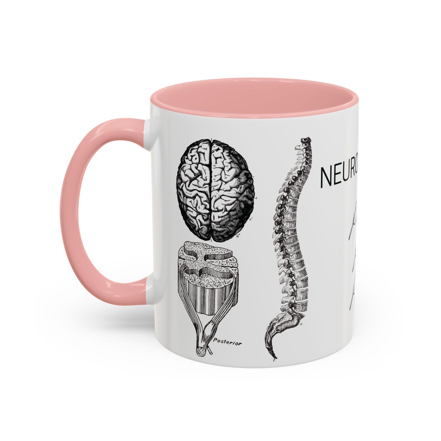 Neuro-Spine Mug, Anatomical Spine Illustration Cup, Neurosurgeon Gift Idea, Spine Surgery Mug, Doctor Appreciation, Medical Worker Gift