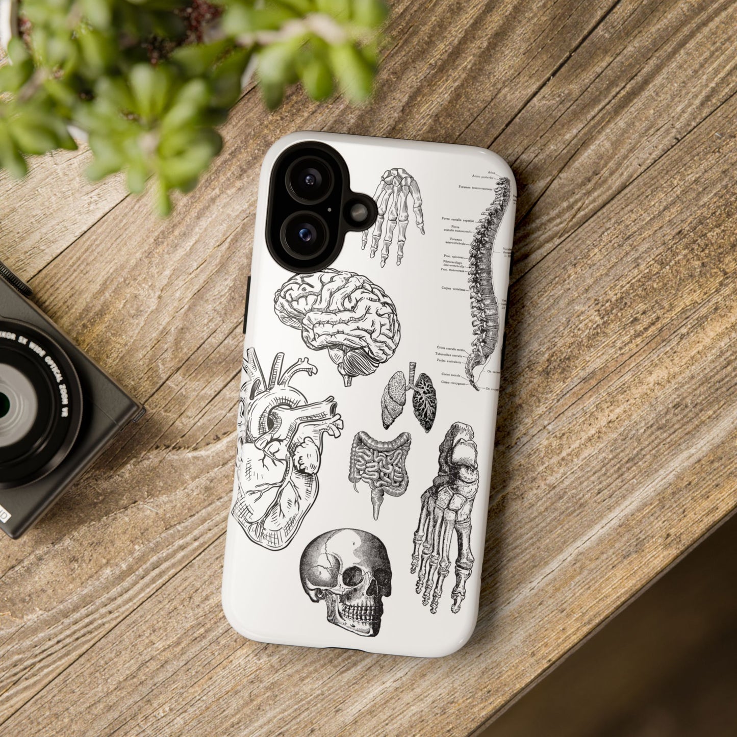 Anatomical Phone Case - Vintage Medical Illustration Case - Science Gift - Custom Medical Phone Cover - Custom Phone Cover - Medical Student