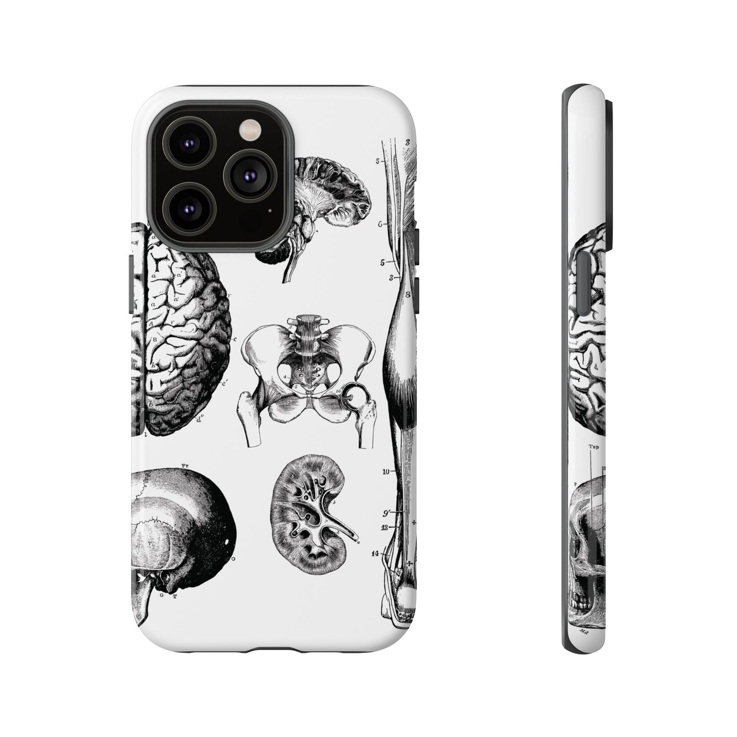 Vintage Anatomy Phone Case - Medical Sketch Design - Custom iPhone, Samsung & Pixel Cover - Science Gift - Doctor Aesthetic - Anatomy case