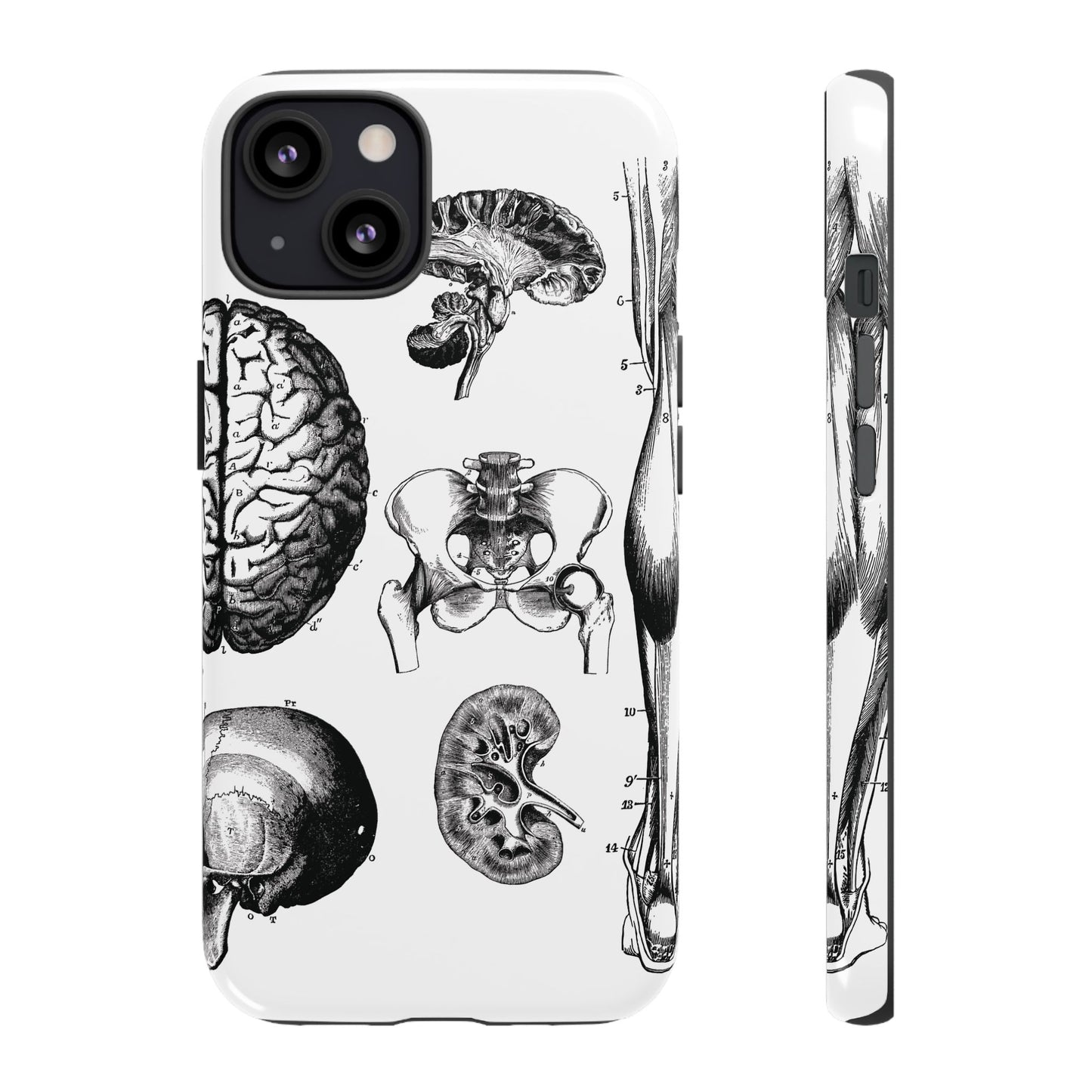 Vintage Anatomy Phone Case - Medical Sketch Design - Custom iPhone, Samsung & Pixel Cover - Science Gift - Doctor Aesthetic - Anatomy case