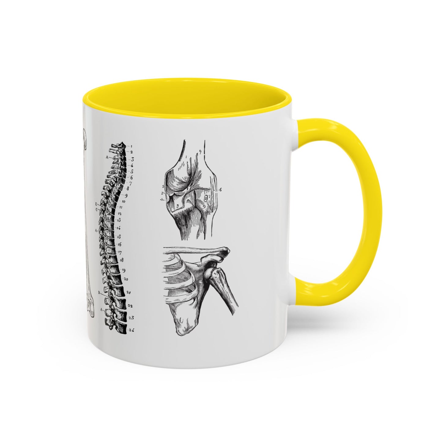 Orthopedic Surgery Mug, Bone Anatomy Coffee Cup, Orthopedist Gift Idea, Medical Anatomy Mug, Doctor Appreciation, Healthcare Worker Gift