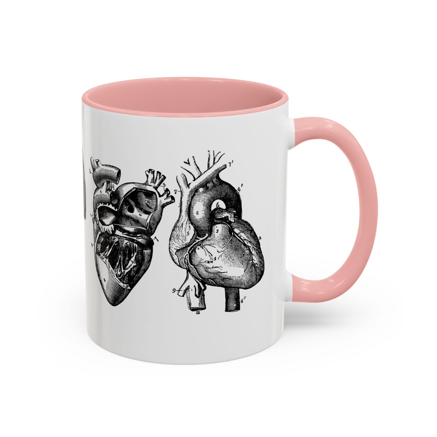 Cardiothoracic Surgery Mug, Heart and Lung Anatomy Cup, Surgeon Gift, Medical Anatomy Mug, Doctor Appreciation, Healthcare Worker Gift