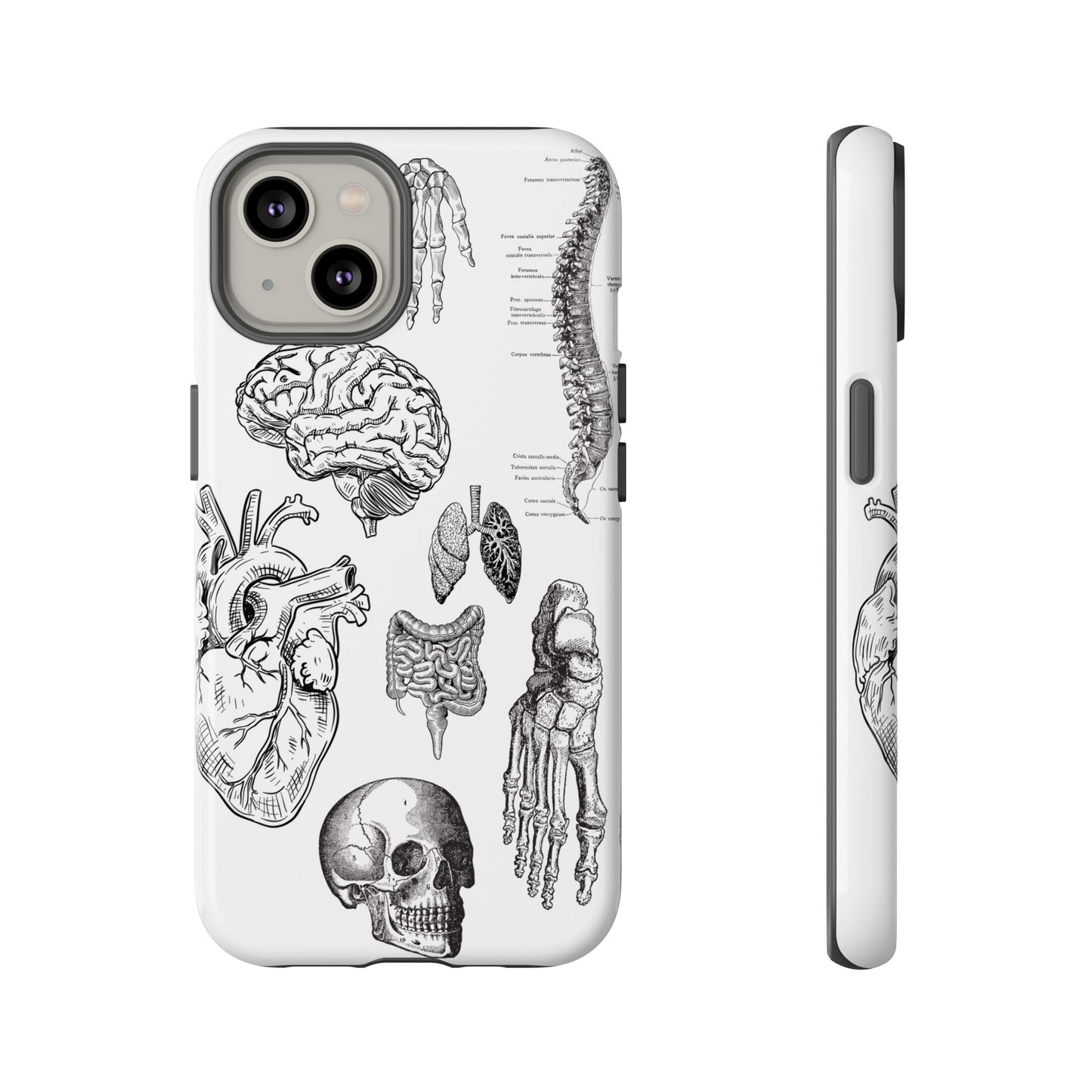 Anatomical Phone Case - Vintage Medical Illustration Case - Science Gift - Custom Medical Phone Cover - Custom Phone Cover - Medical Student