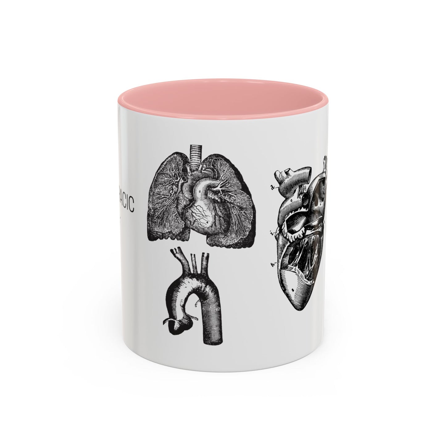 Cardiothoracic Surgery Mug, Heart and Lung Anatomy Cup, Surgeon Gift, Medical Anatomy Mug, Doctor Appreciation, Healthcare Worker Gift