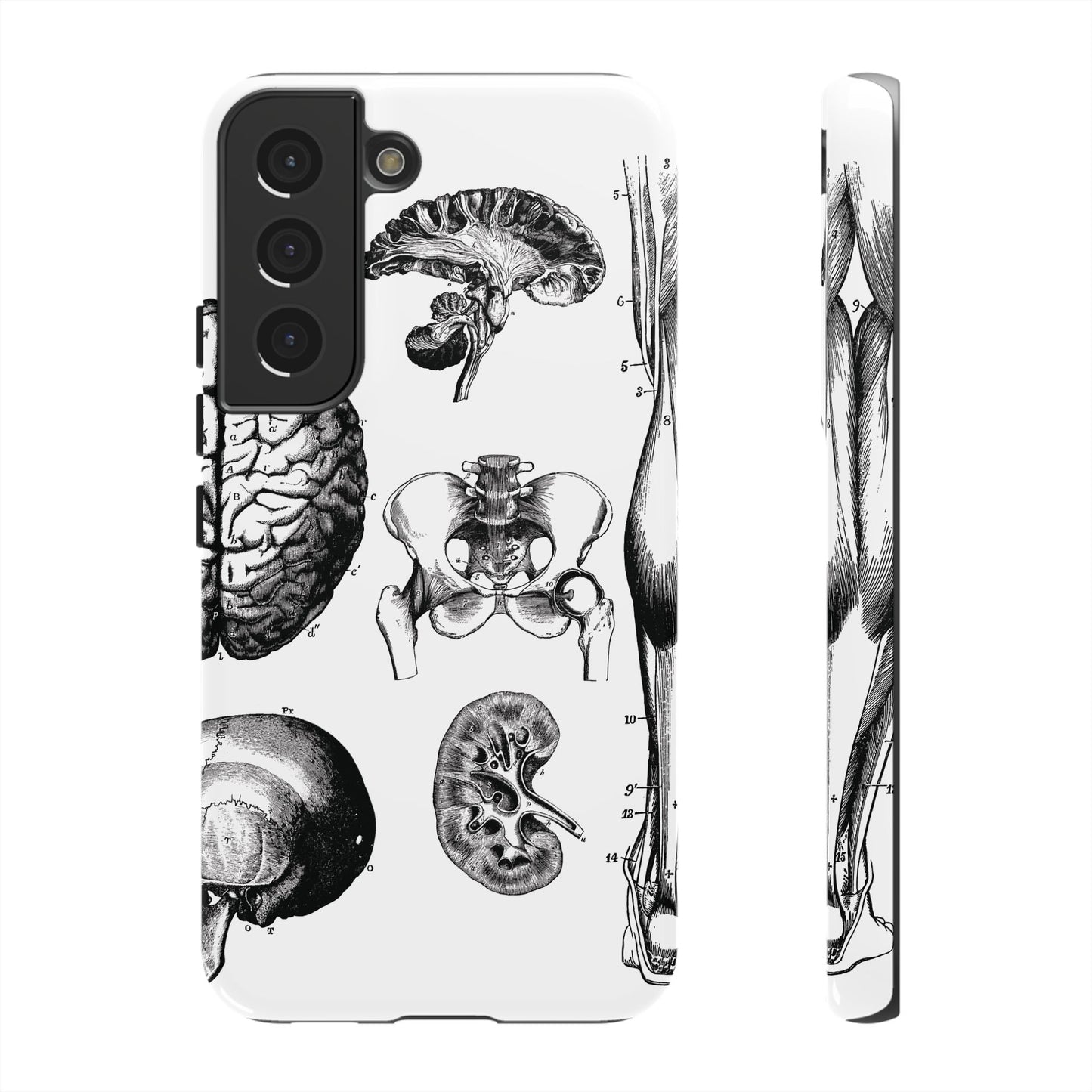 Vintage Anatomy Phone Case - Medical Sketch Design - Custom iPhone, Samsung & Pixel Cover - Science Gift - Doctor Aesthetic - Anatomy case