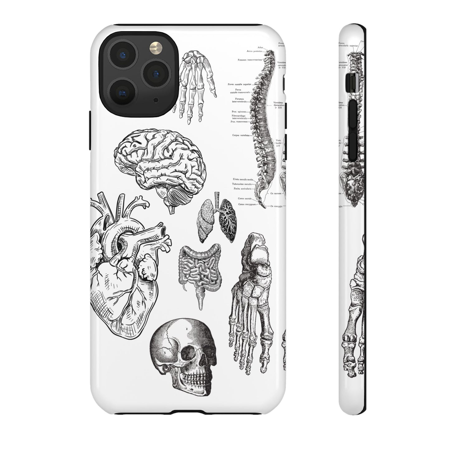 Anatomical Phone Case - Vintage Medical Illustration Case - Science Gift - Custom Medical Phone Cover - Custom Phone Cover - Medical Student