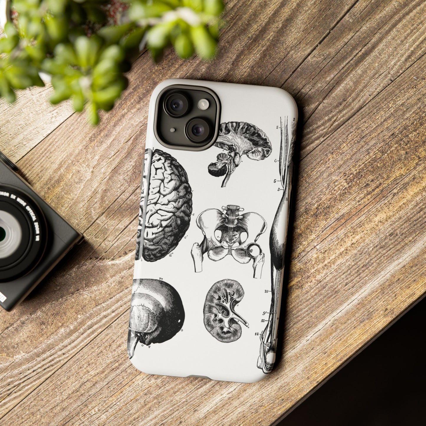 Vintage Anatomy Phone Case - Medical Sketch Design - Custom iPhone, Samsung & Pixel Cover - Science Gift - Doctor Aesthetic - Anatomy case