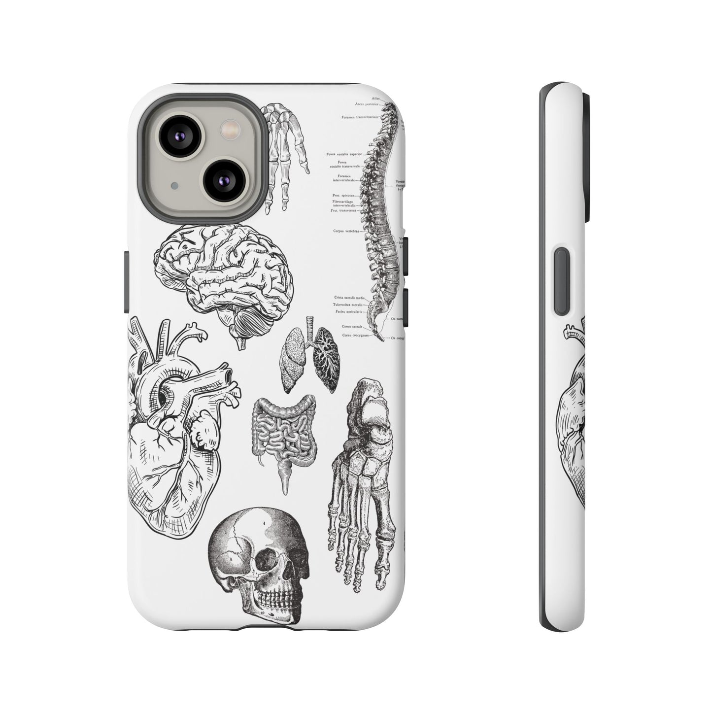 Anatomical Phone Case - Vintage Medical Illustration Case - Science Gift - Custom Medical Phone Cover - Custom Phone Cover - Medical Student