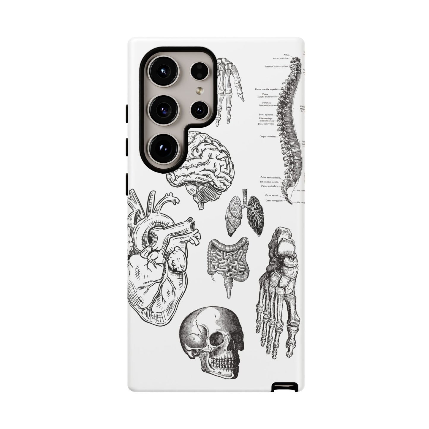 Anatomical Phone Case - Vintage Medical Illustration Case - Science Gift - Custom Medical Phone Cover - Custom Phone Cover - Medical Student