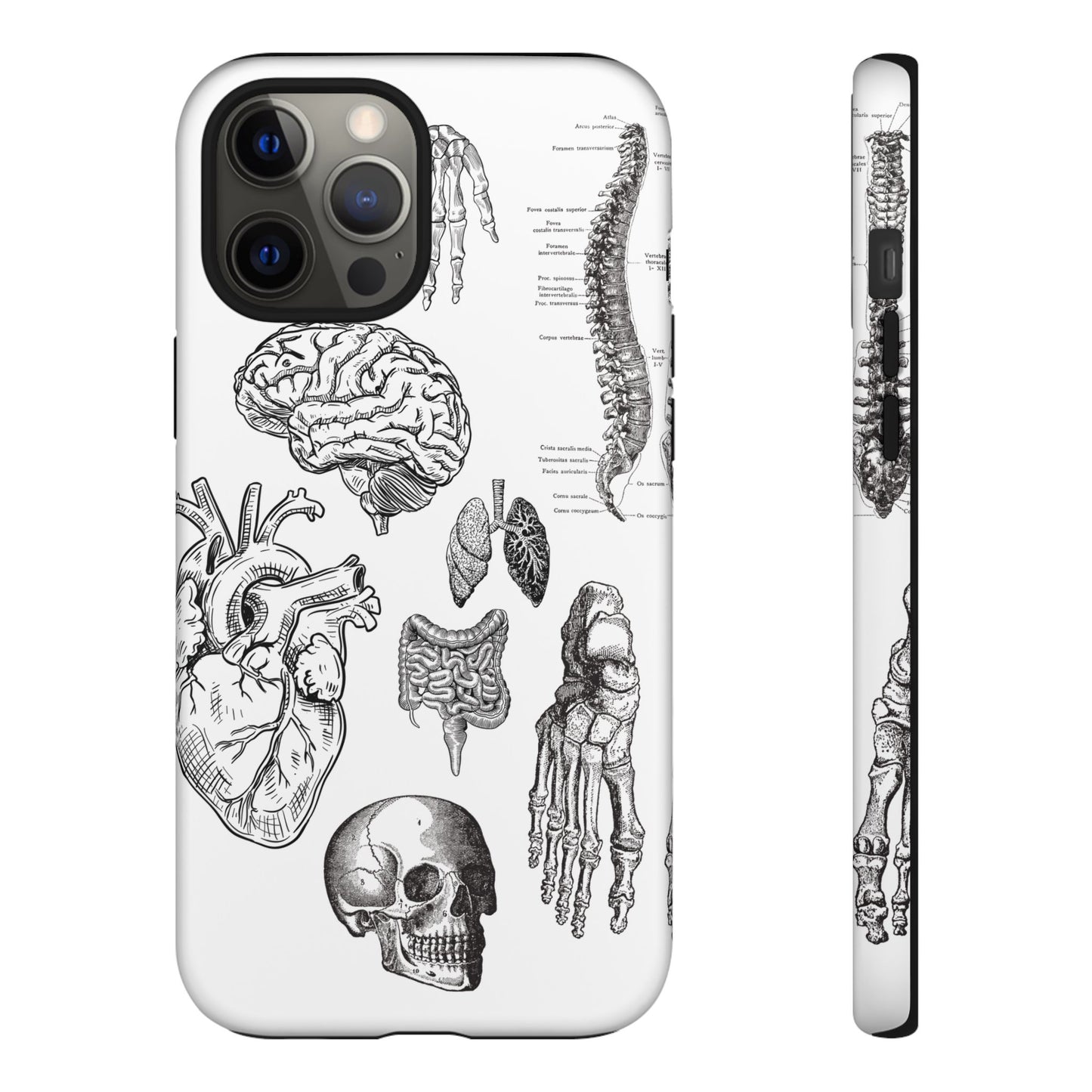 Anatomical Phone Case - Vintage Medical Illustration Case - Science Gift - Custom Medical Phone Cover - Custom Phone Cover - Medical Student