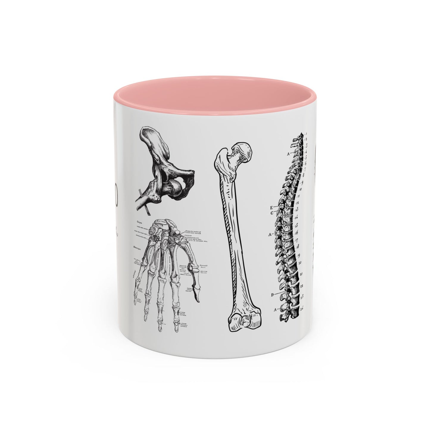 Orthopedic Surgery Mug, Bone Anatomy Coffee Cup, Orthopedist Gift Idea, Medical Anatomy Mug, Doctor Appreciation, Healthcare Worker Gift