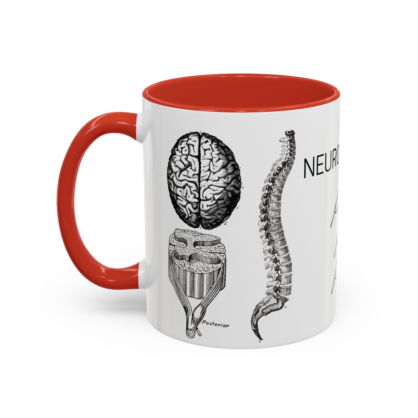 Neuro-Spine Mug, Anatomical Spine Illustration Cup, Neurosurgeon Gift Idea, Spine Surgery Mug, Doctor Appreciation, Medical Worker Gift