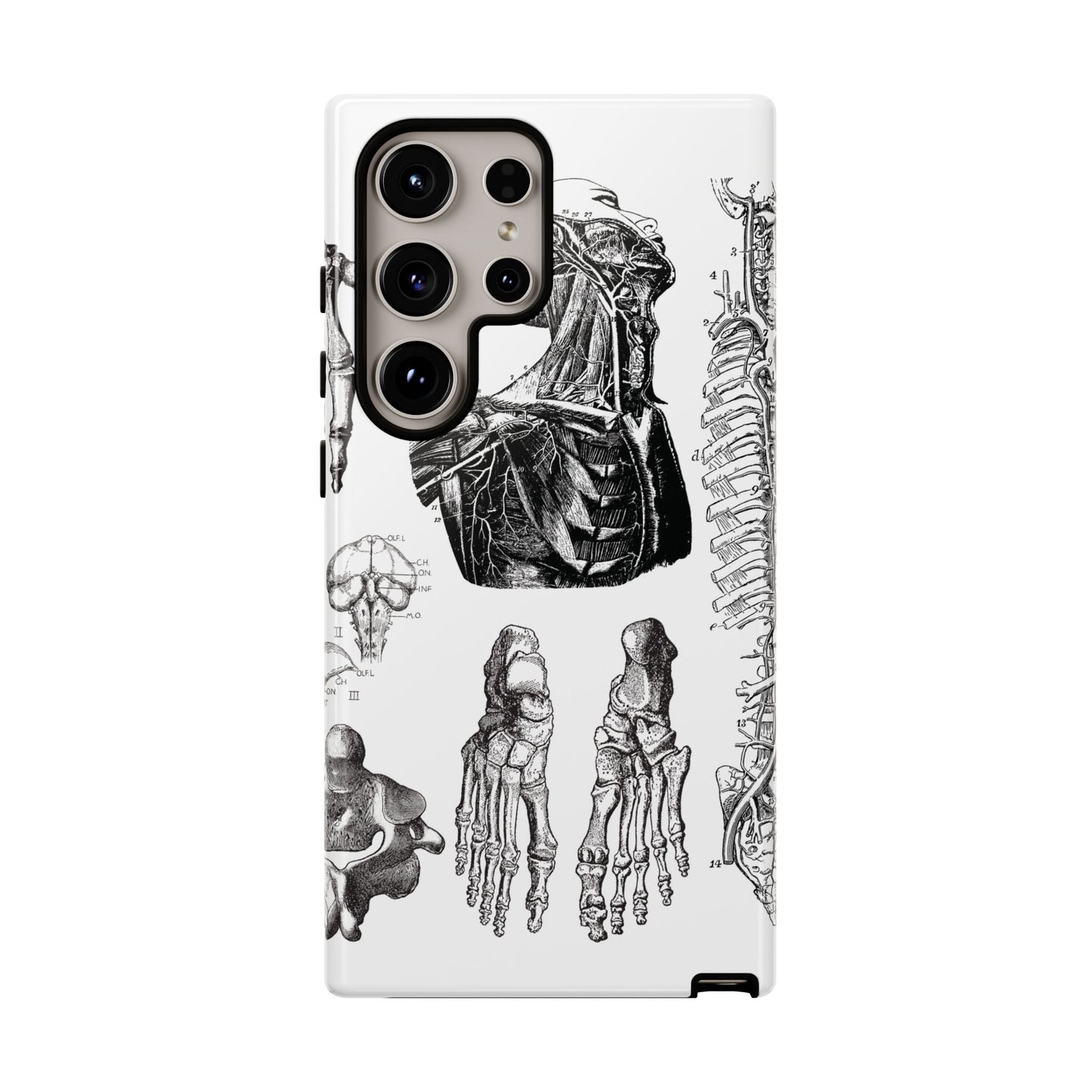 Vintage Anatomy Phone Case - Medical Illustration Design - Custom iPhone, Samsung & Pixel Cover - Science Gift - Doctor Aesthetic - Anatomy