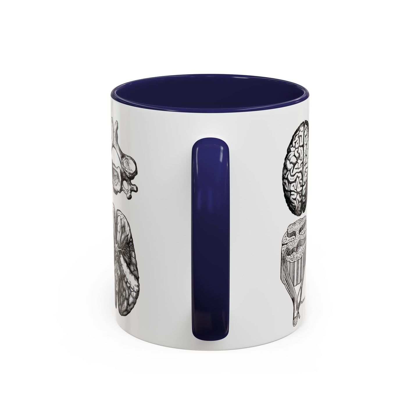 Neuro-Spine Mug, Anatomical Spine Illustration Cup, Neurosurgeon Gift Idea, Spine Surgery Mug, Doctor Appreciation, Medical Worker Gift