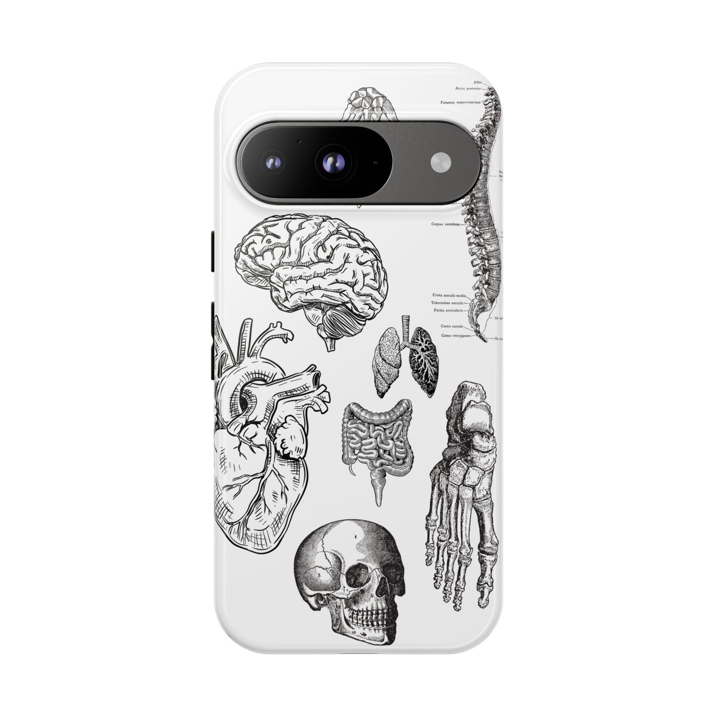 Anatomical Phone Case - Vintage Medical Illustration Case - Science Gift - Custom Medical Phone Cover - Custom Phone Cover - Medical Student