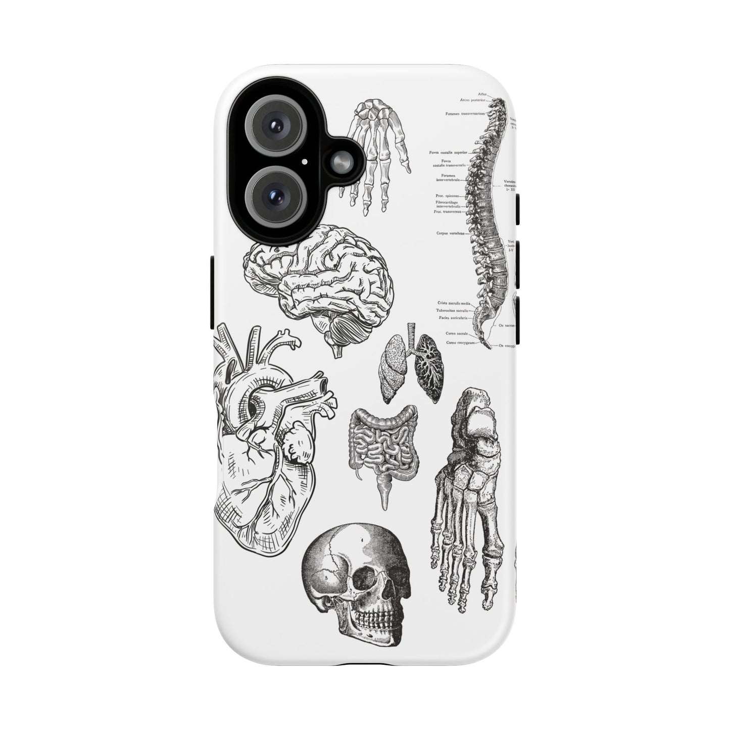 Anatomical Phone Case - Vintage Medical Illustration Case - Science Gift - Custom Medical Phone Cover - Custom Phone Cover - Medical Student