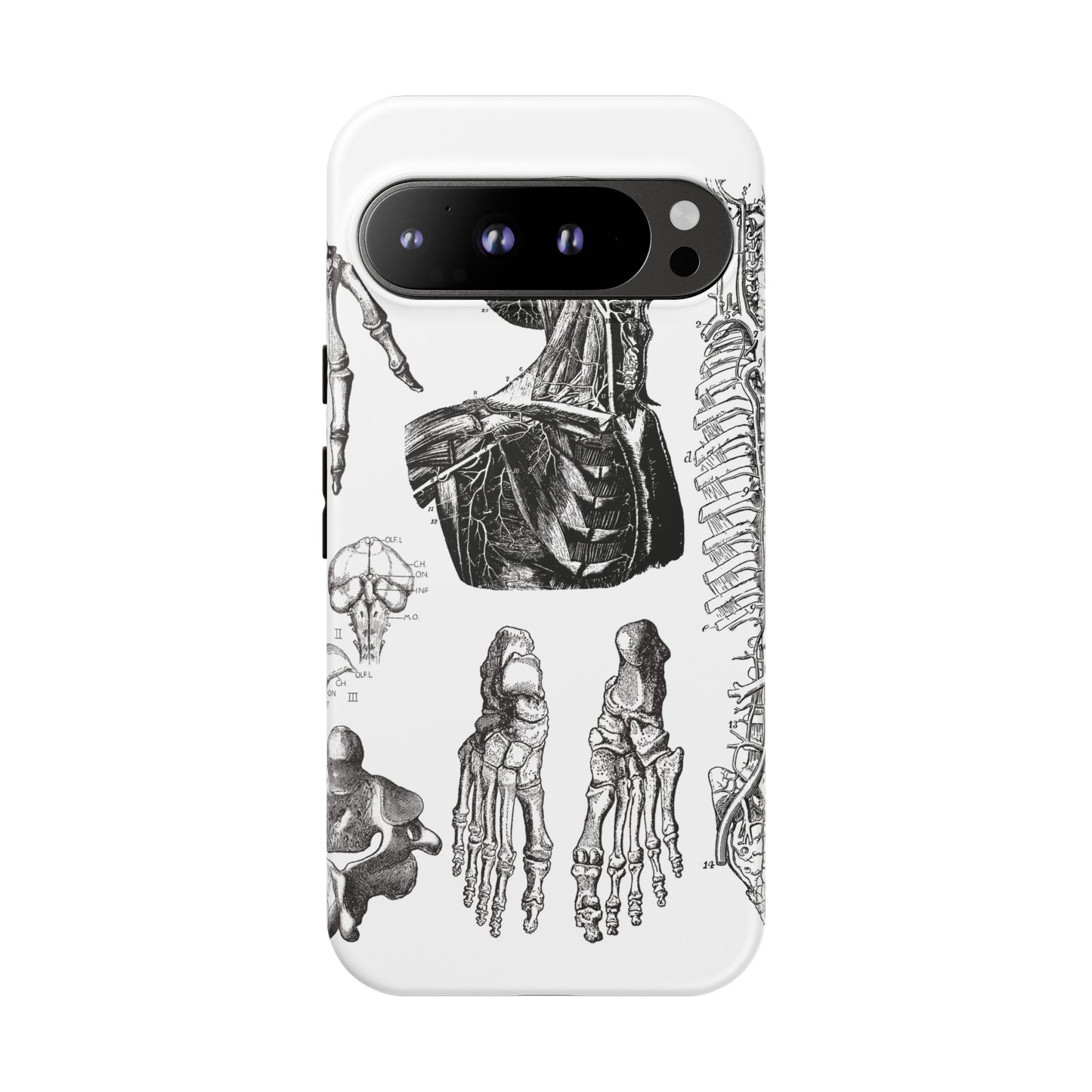 Vintage Anatomy Phone Case - Medical Illustration Design - Custom iPhone, Samsung & Pixel Cover - Science Gift - Doctor Aesthetic - Anatomy