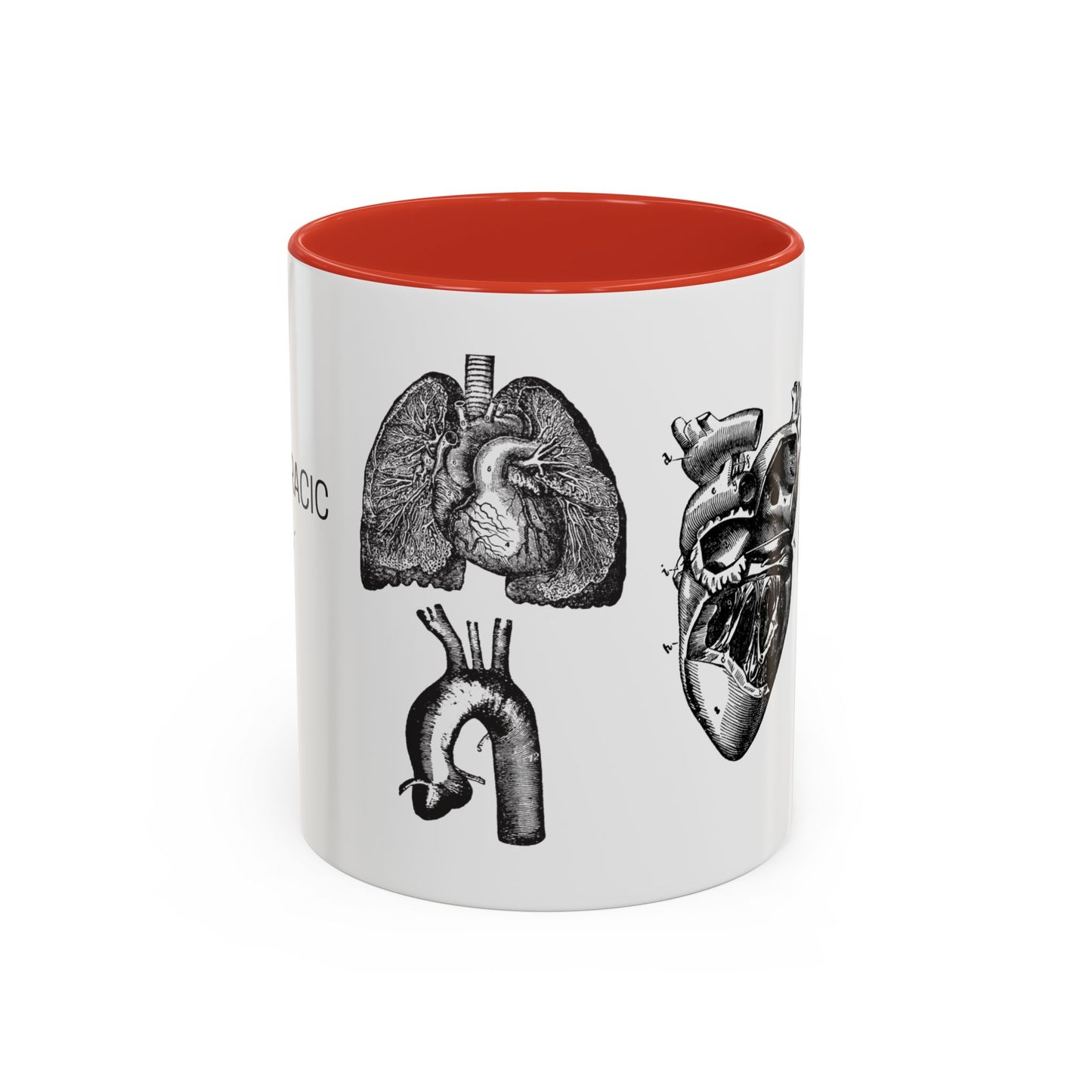 Cardiothoracic Surgery Mug, Heart and Lung Anatomy Cup, Surgeon Gift, Medical Anatomy Mug, Doctor Appreciation, Healthcare Worker Gift