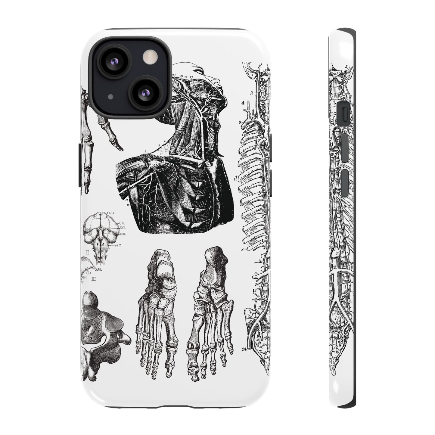 Vintage Anatomy Phone Case - Medical Illustration Design - Custom iPhone, Samsung & Pixel Cover - Science Gift - Doctor Aesthetic - Anatomy