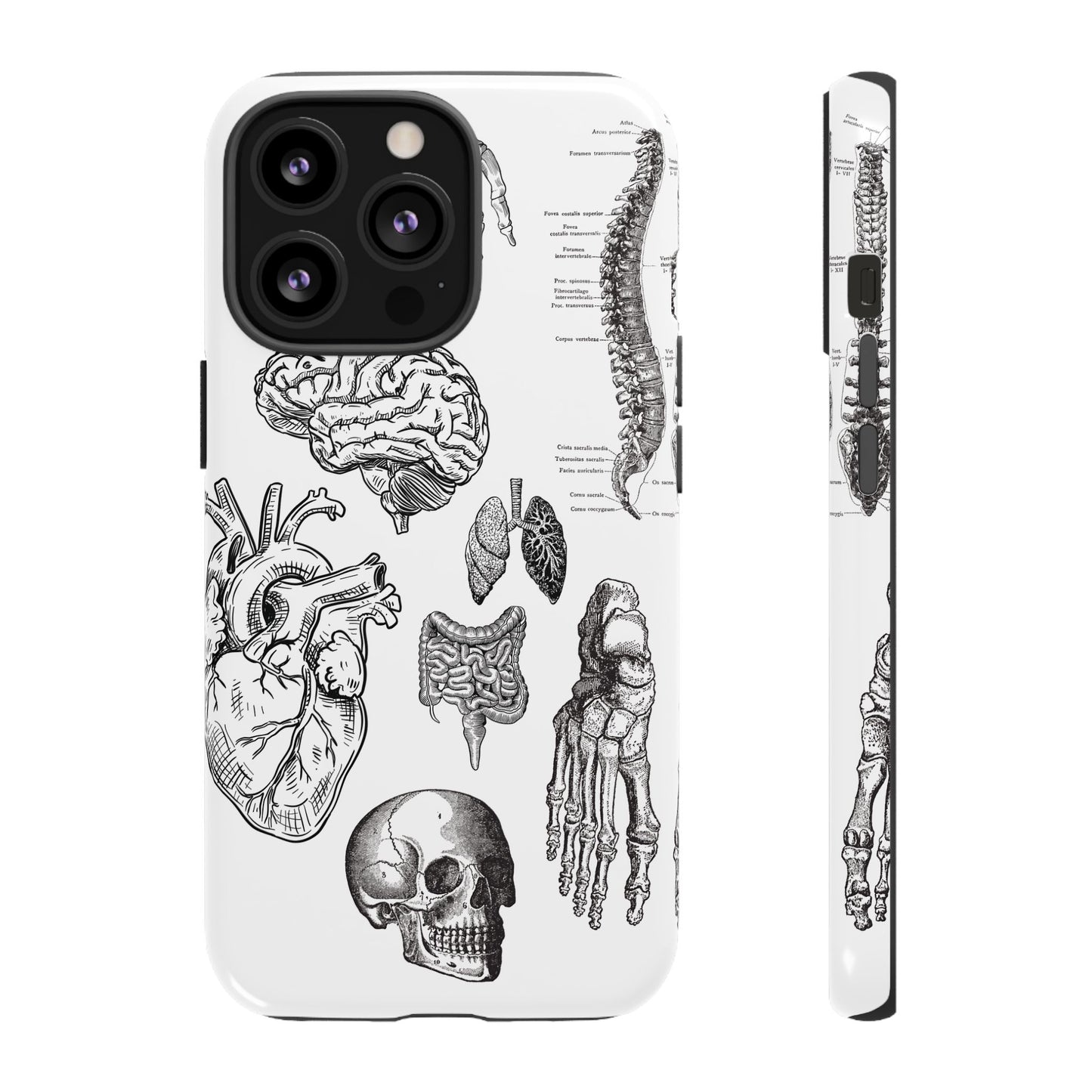 Anatomical Phone Case - Vintage Medical Illustration Case - Science Gift - Custom Medical Phone Cover - Custom Phone Cover - Medical Student