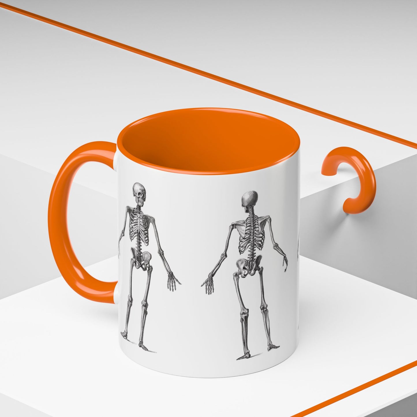 Anatomy Skeleton Accent Coffee Mug, Medical Student Doctor Nurse Gift, Anatomical Diagram, Halloween Mug, Biology Teacher Gift,