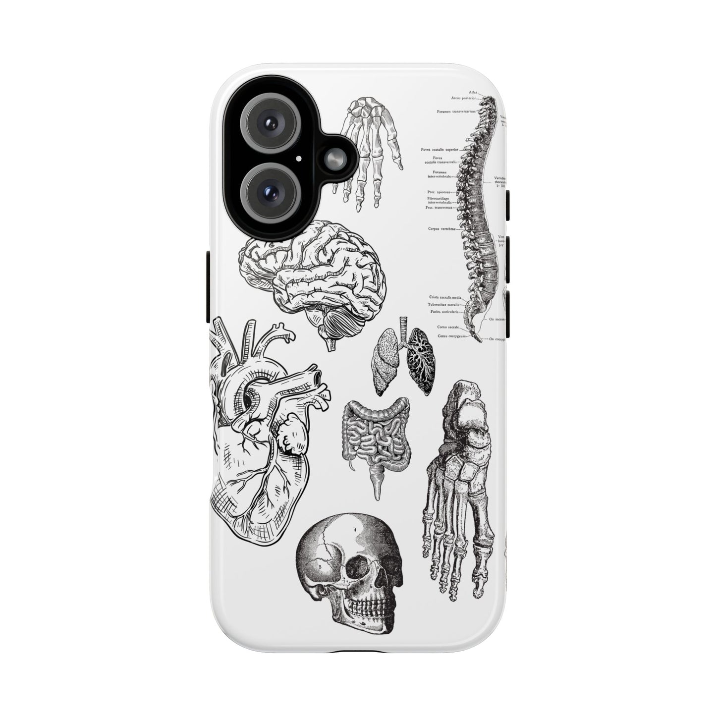 Anatomical Phone Case - Vintage Medical Illustration Case - Science Gift - Custom Medical Phone Cover - Custom Phone Cover - Medical Student