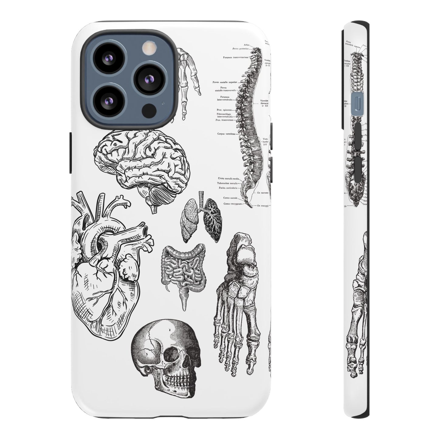 Anatomical Phone Case - Vintage Medical Illustration Case - Science Gift - Custom Medical Phone Cover - Custom Phone Cover - Medical Student