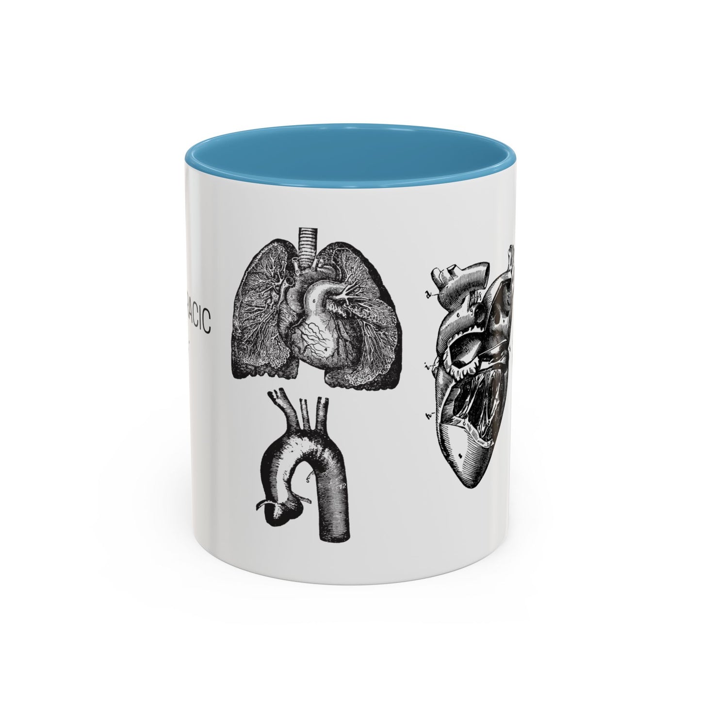 Cardiothoracic Surgery Mug, Heart and Lung Anatomy Cup, Surgeon Gift, Medical Anatomy Mug, Doctor Appreciation, Healthcare Worker Gift