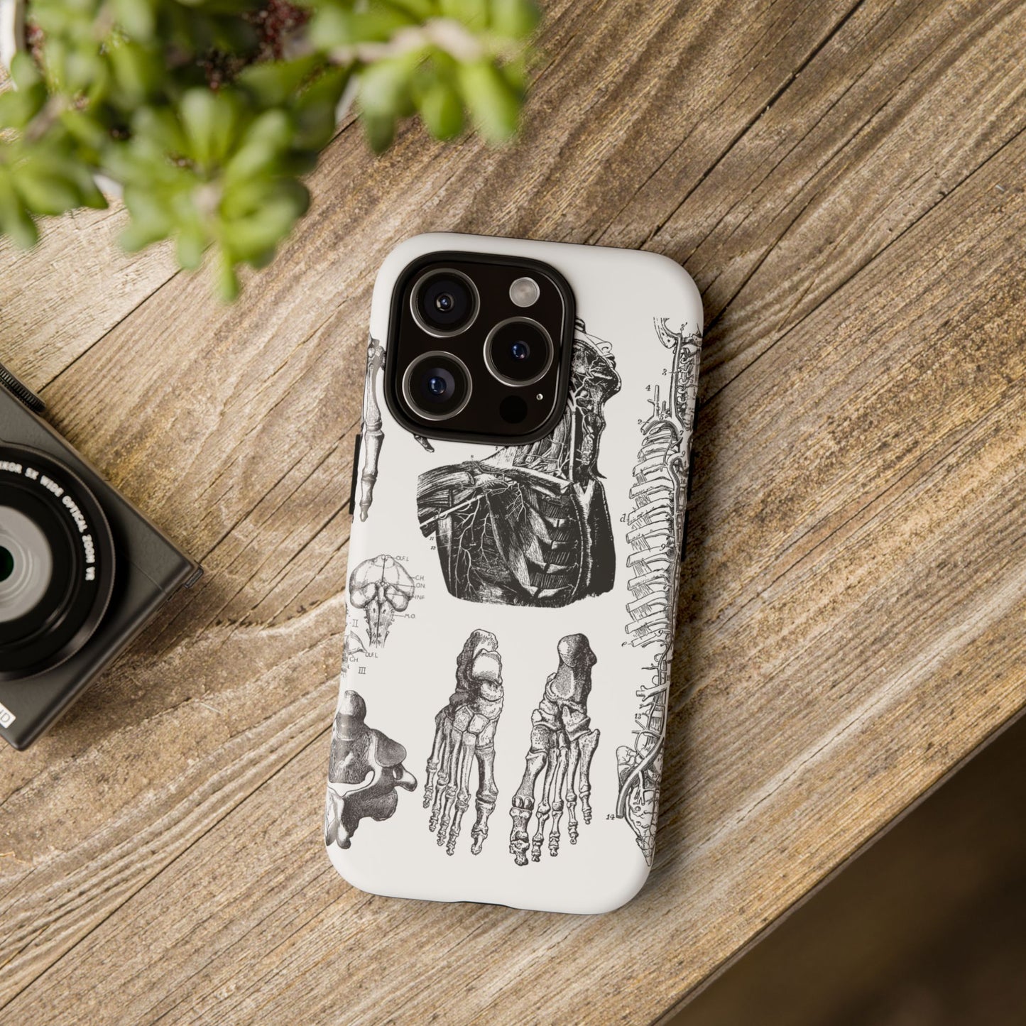 Vintage Anatomy Phone Case - Medical Illustration Design - Custom iPhone, Samsung & Pixel Cover - Science Gift - Doctor Aesthetic - Anatomy