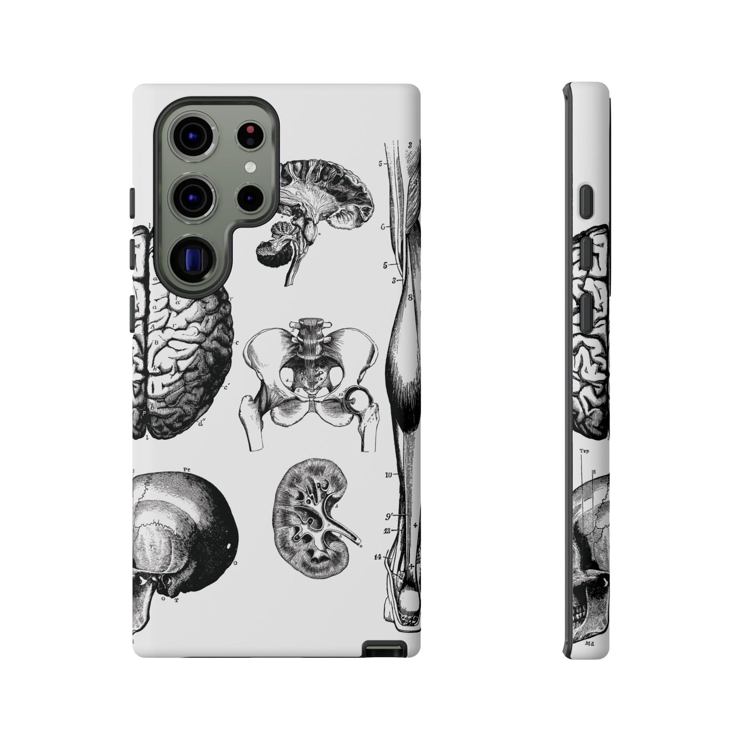 Vintage Anatomy Phone Case - Medical Sketch Design - Custom iPhone, Samsung & Pixel Cover - Science Gift - Doctor Aesthetic - Anatomy case