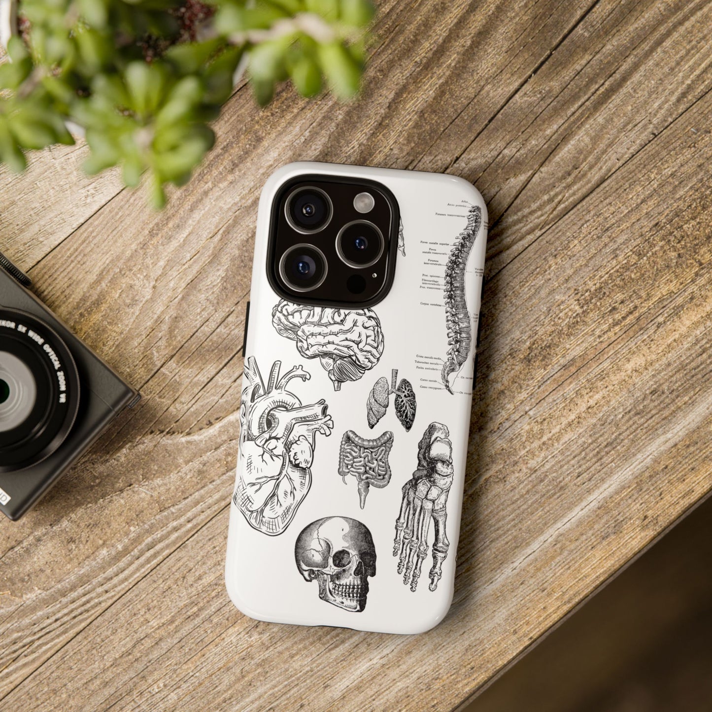 Anatomical Phone Case - Vintage Medical Illustration Case - Science Gift - Custom Medical Phone Cover - Custom Phone Cover - Medical Student