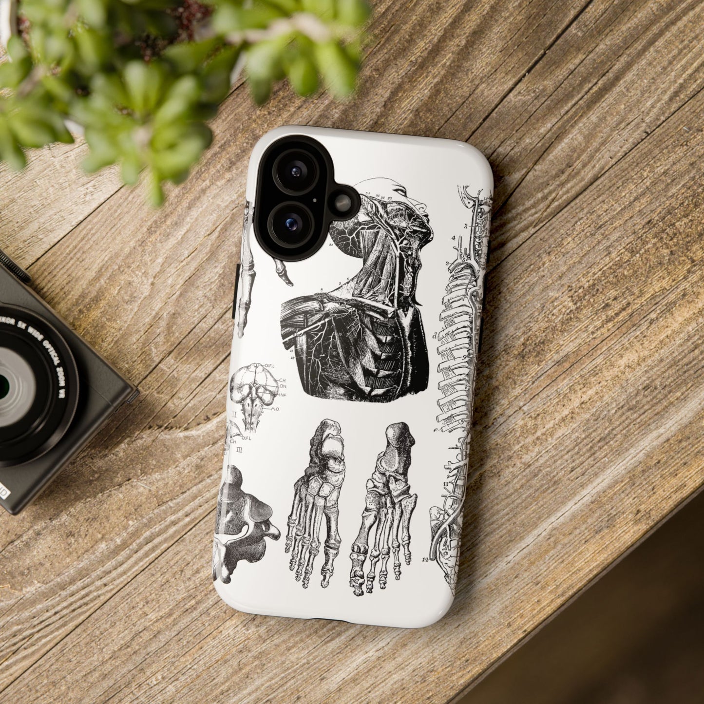 Vintage Anatomy Phone Case - Medical Illustration Design - Custom iPhone, Samsung & Pixel Cover - Science Gift - Doctor Aesthetic - Anatomy