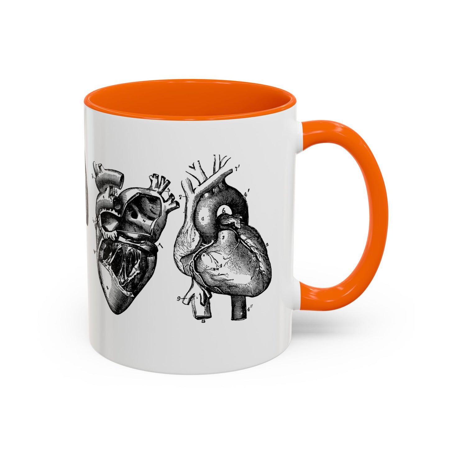 Cardiothoracic Surgery Mug, Heart and Lung Anatomy Cup, Surgeon Gift, Medical Anatomy Mug, Doctor Appreciation, Healthcare Worker Gift