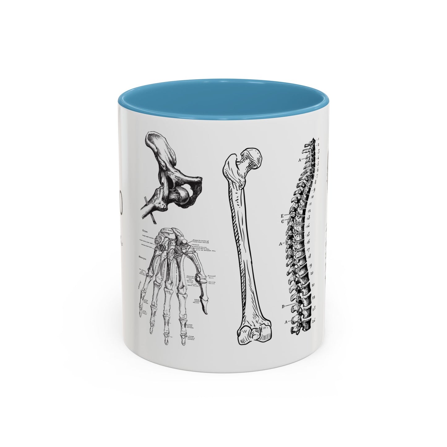 Orthopedic Surgery Mug, Bone Anatomy Coffee Cup, Orthopedist Gift Idea, Medical Anatomy Mug, Doctor Appreciation, Healthcare Worker Gift