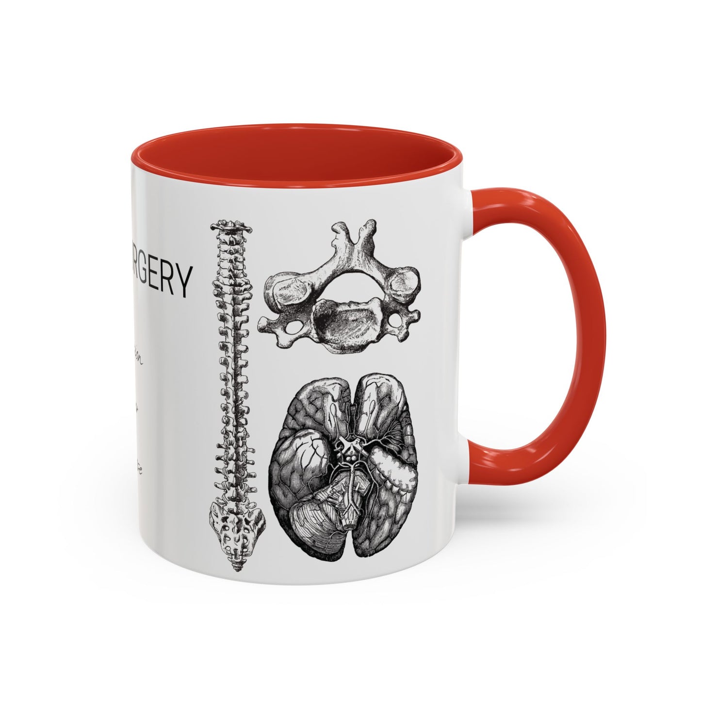 Neuro-Spine Mug, Anatomical Spine Illustration Cup, Neurosurgeon Gift Idea, Spine Surgery Mug, Doctor Appreciation, Medical Worker Gift