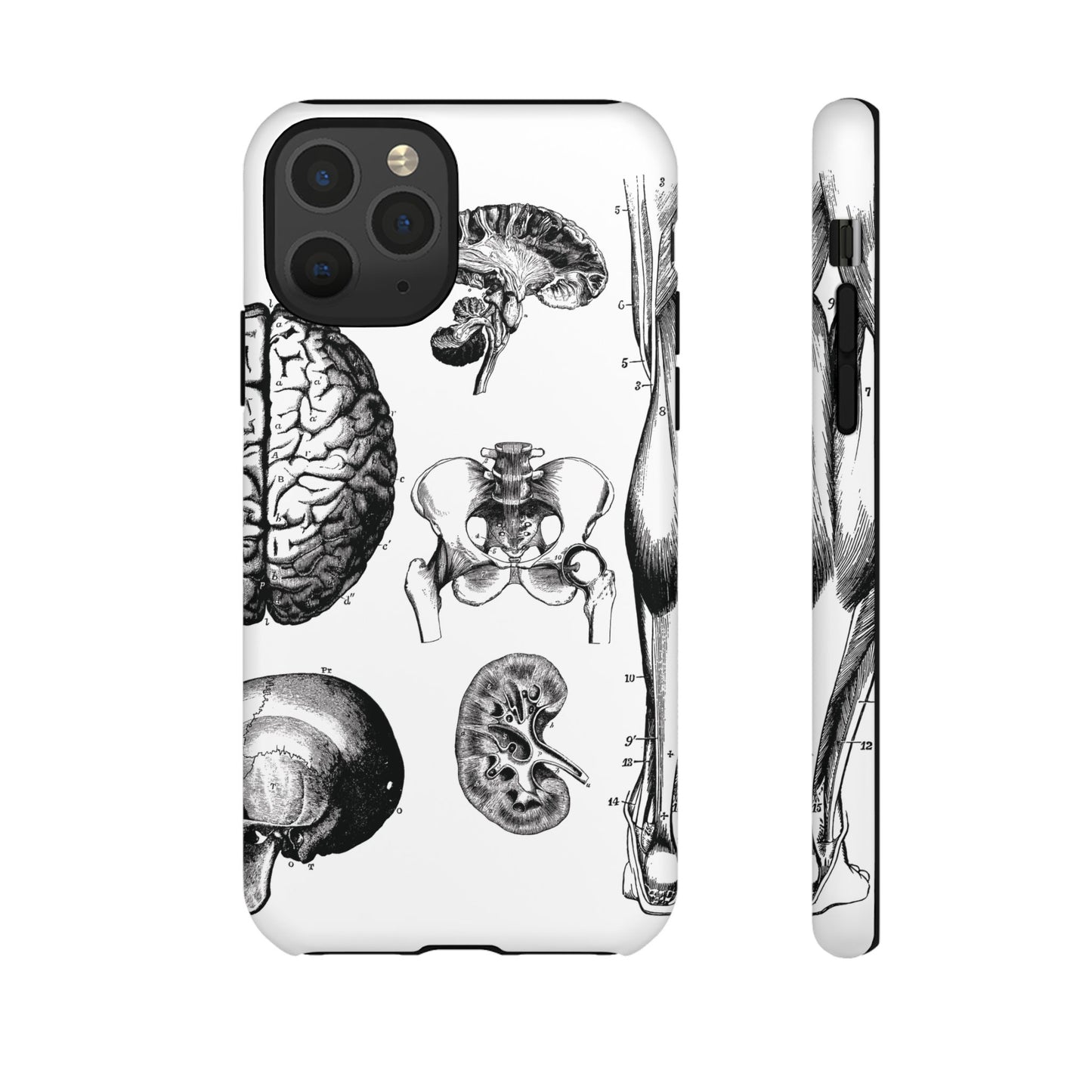 Vintage Anatomy Phone Case - Medical Sketch Design - Custom iPhone, Samsung & Pixel Cover - Science Gift - Doctor Aesthetic - Anatomy case