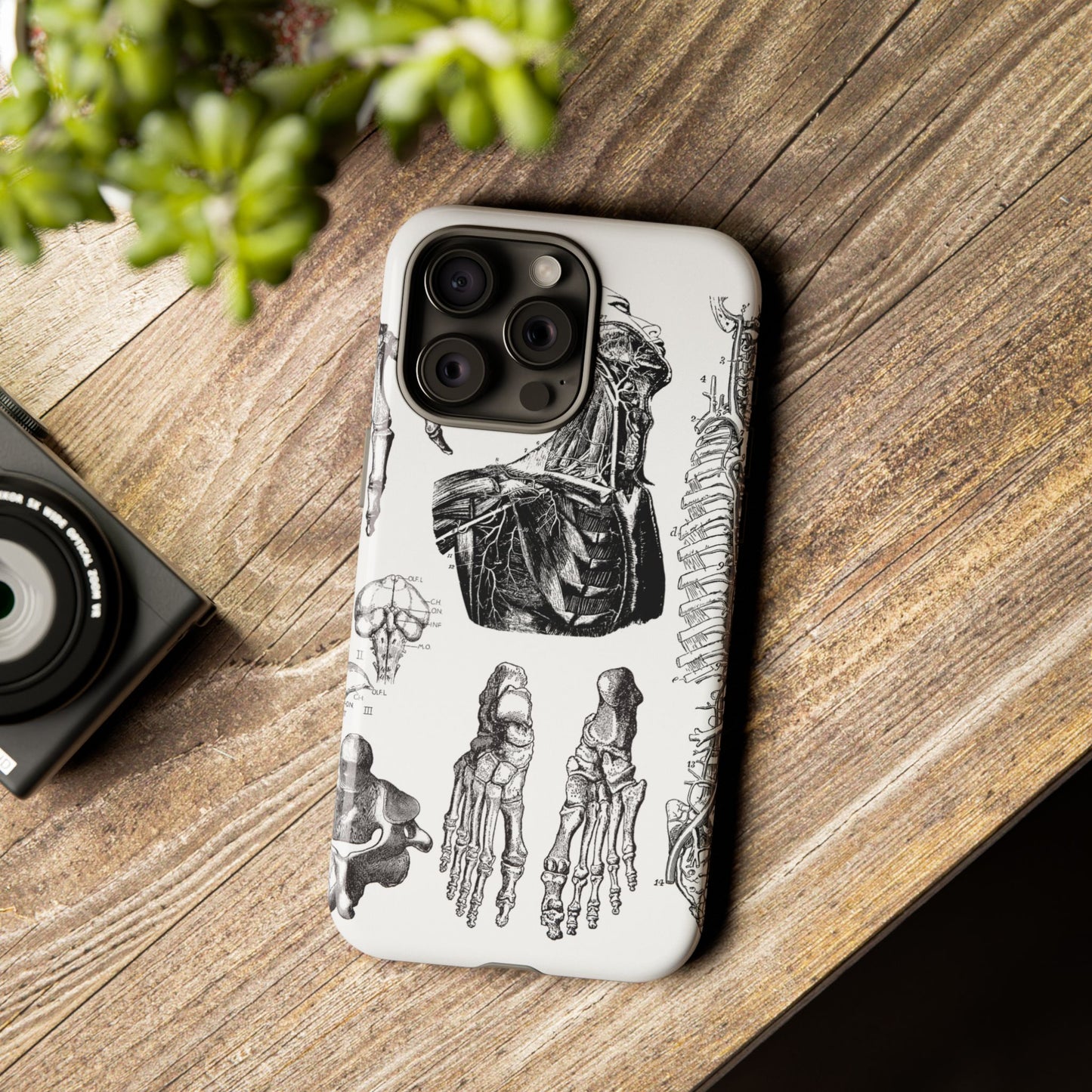 Vintage Anatomy Phone Case - Medical Illustration Design - Custom iPhone, Samsung & Pixel Cover - Science Gift - Doctor Aesthetic - Anatomy