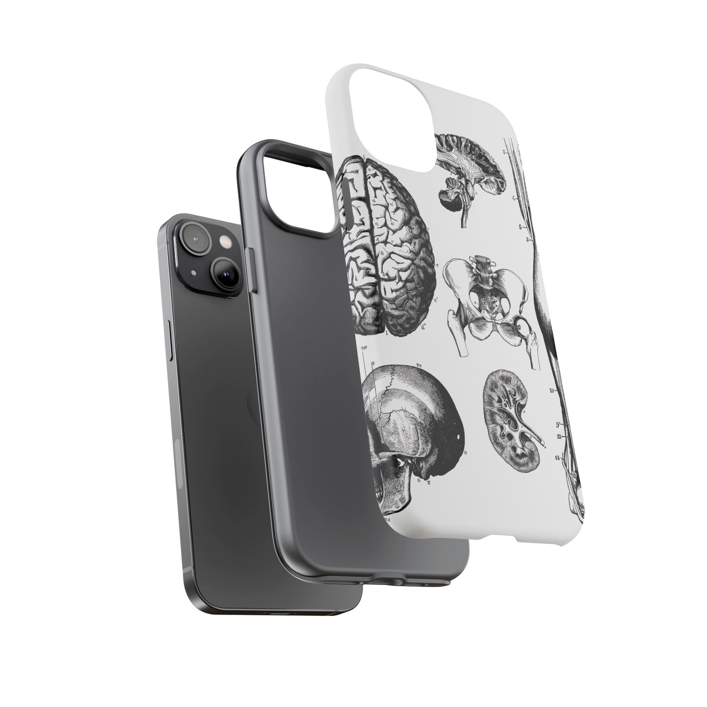 Vintage Anatomy Phone Case - Medical Sketch Design - Custom iPhone, Samsung & Pixel Cover - Science Gift - Doctor Aesthetic - Anatomy case