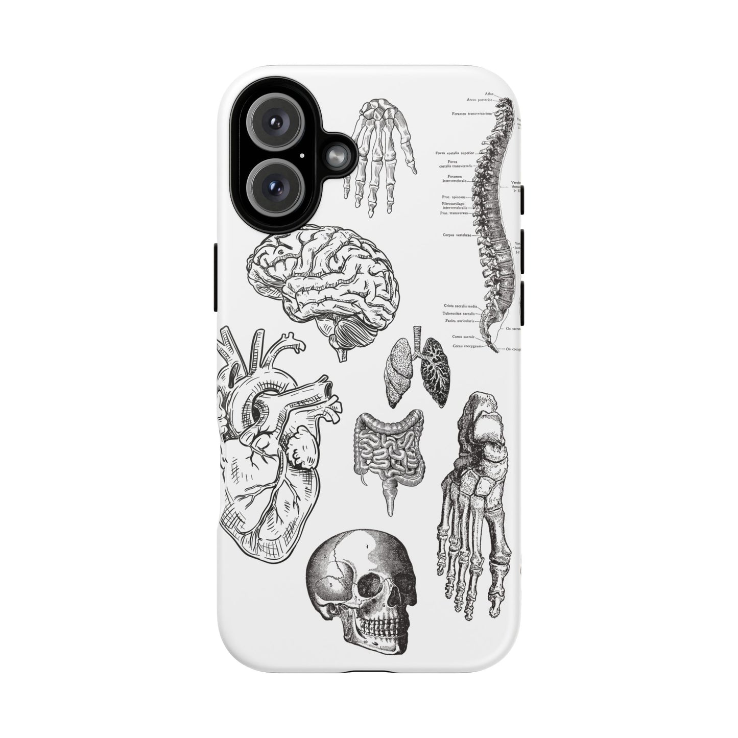 Anatomical Phone Case - Vintage Medical Illustration Case - Science Gift - Custom Medical Phone Cover - Custom Phone Cover - Medical Student
