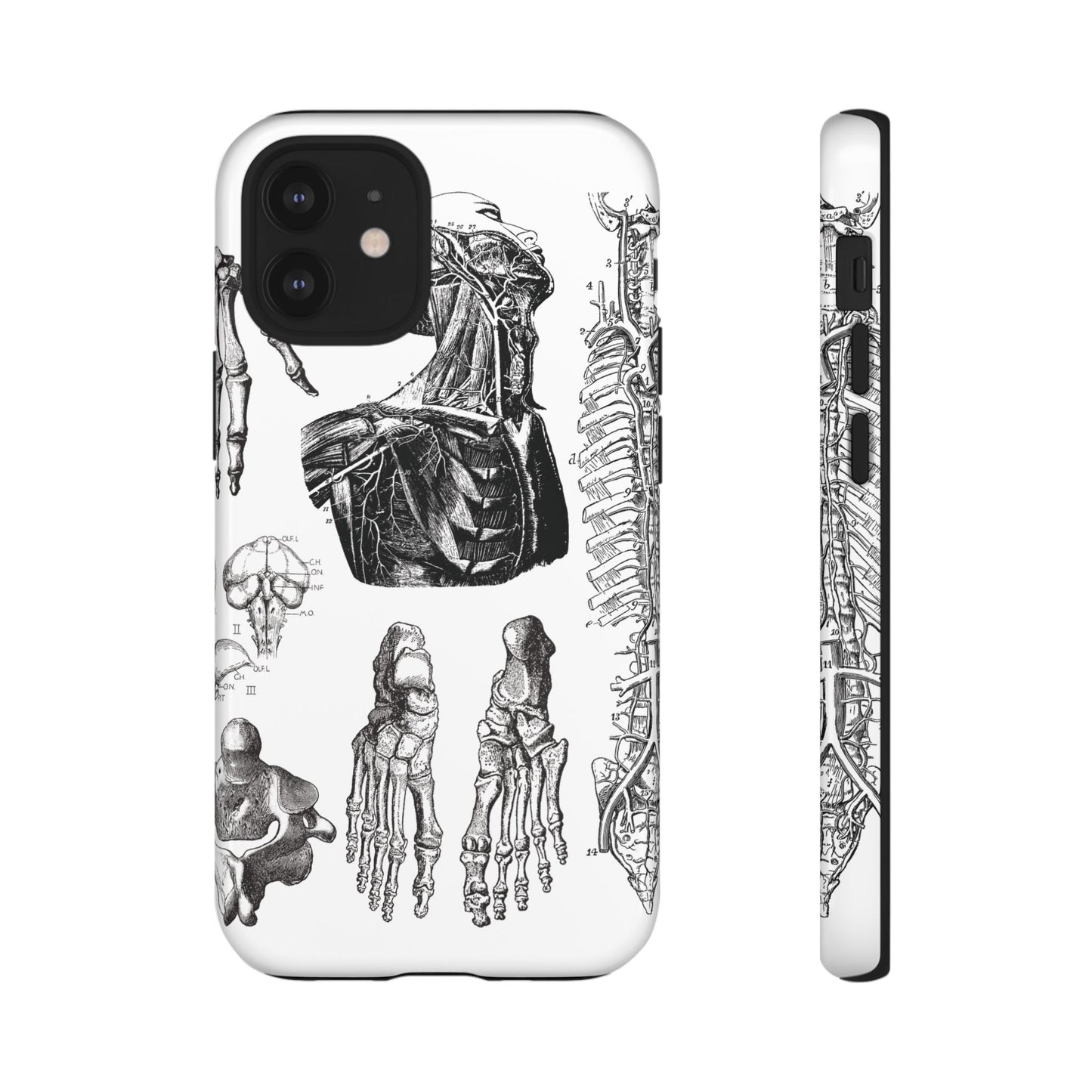 Vintage Anatomy Phone Case - Medical Illustration Design - Custom iPhone, Samsung & Pixel Cover - Science Gift - Doctor Aesthetic - Anatomy