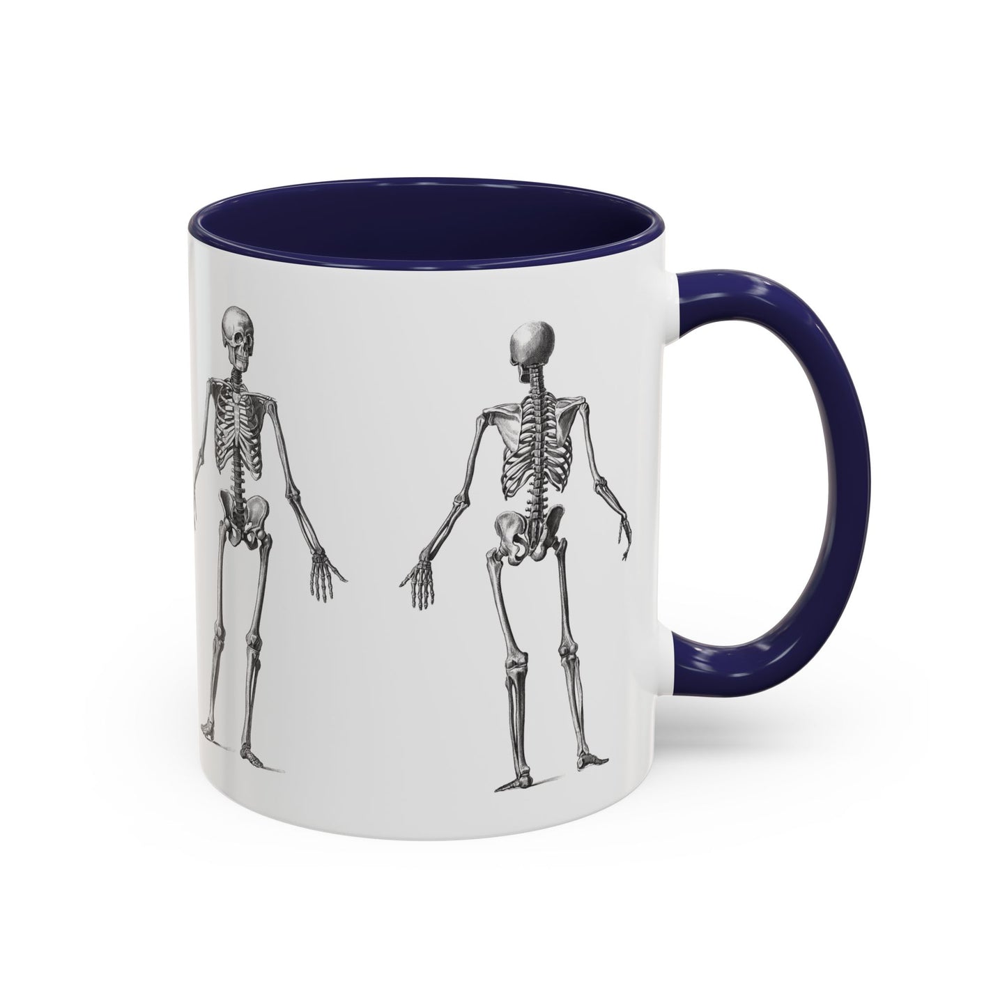 Anatomy Skeleton Accent Coffee Mug, Medical Student Doctor Nurse Gift, Anatomical Diagram, Halloween Mug, Biology Teacher Gift,